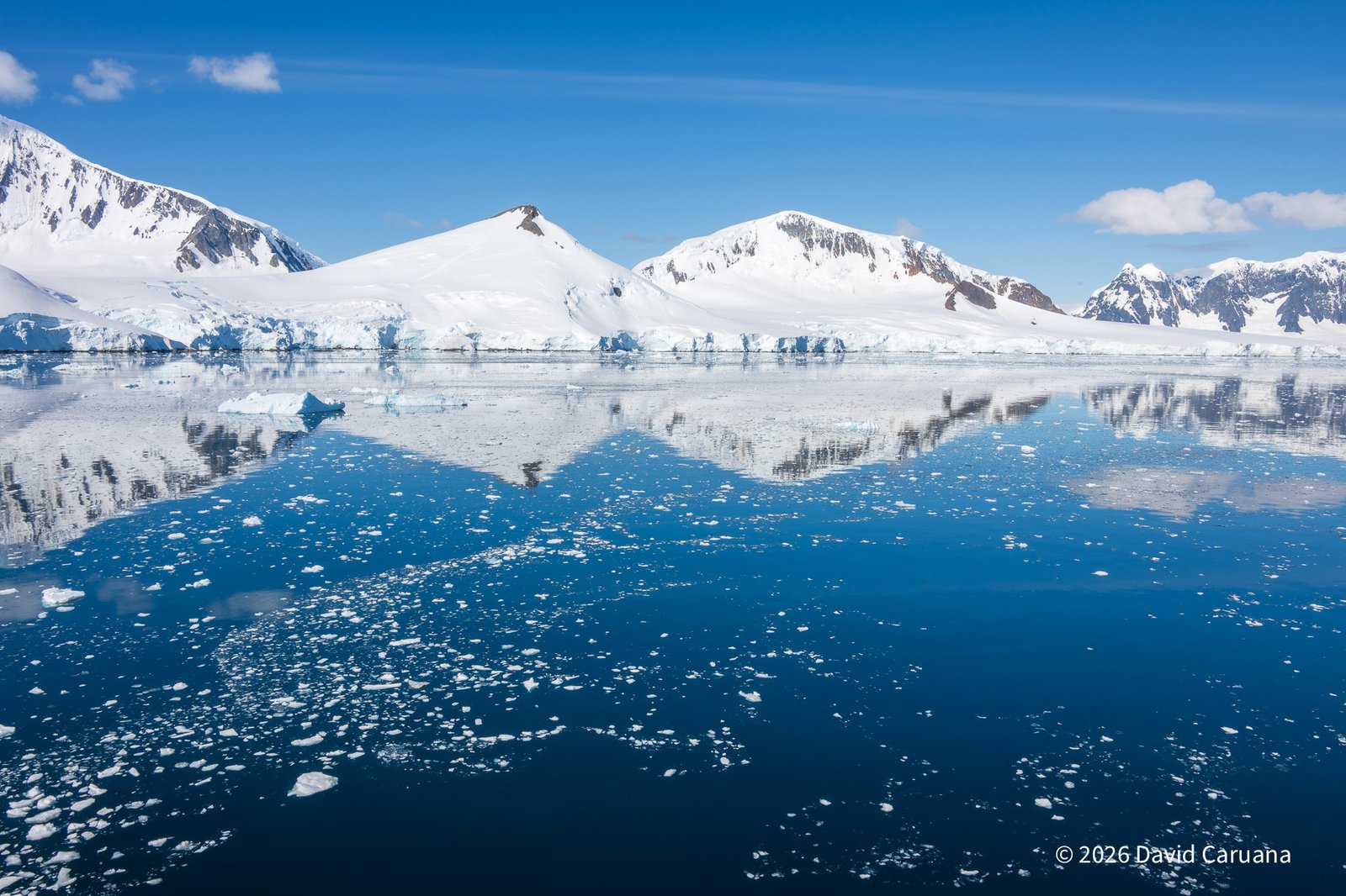 Travel - Antarctica